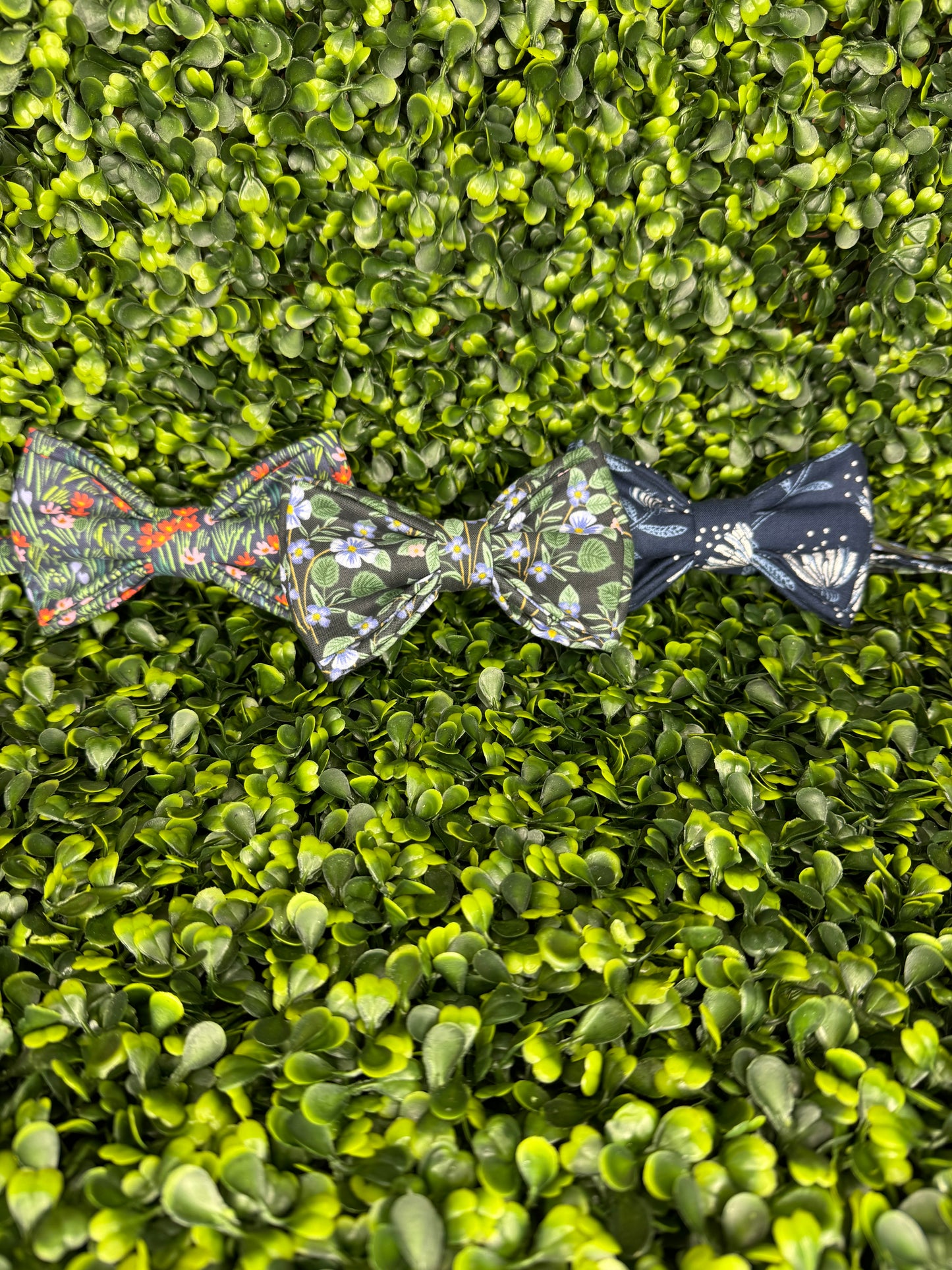 Backyard Bow tie